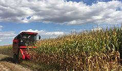 Corn Combines