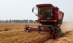 Self-Propelled Corn Harvesting Machine