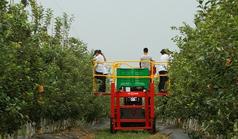 Orchard Machinery